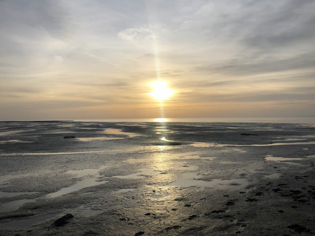 Wattenmeer bei Cuxhaven